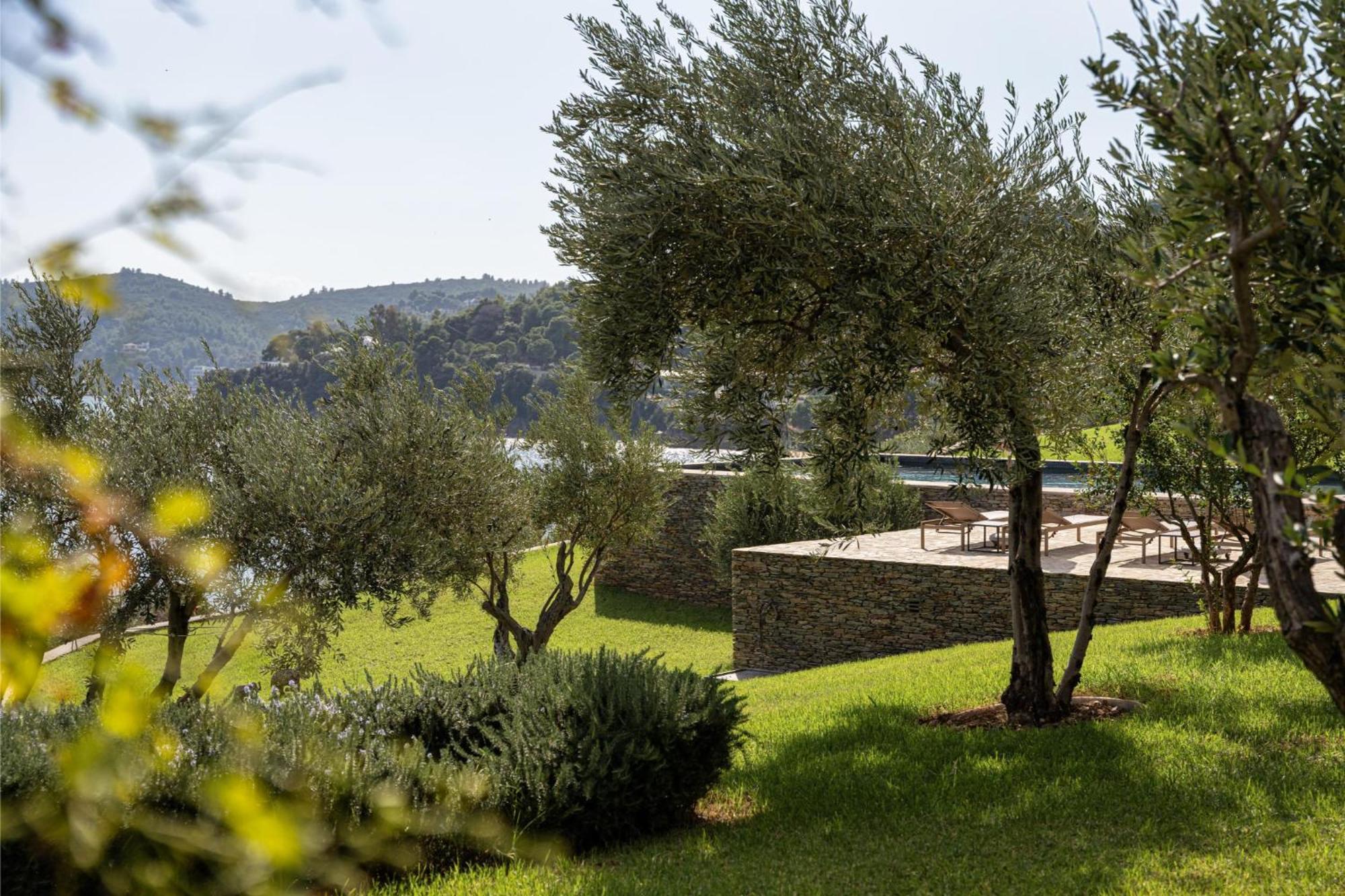 Pelagoon Skiathos Achladies  الغرفة الصورة